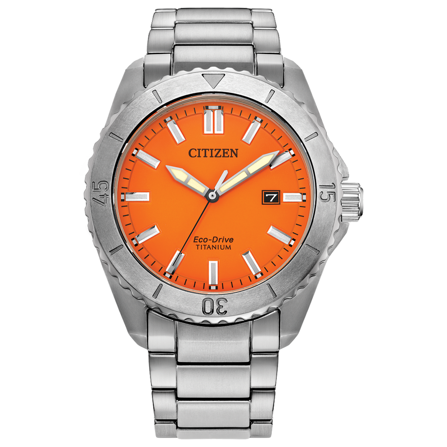 Citizen Eco-Drive WR100 Titanium Watch